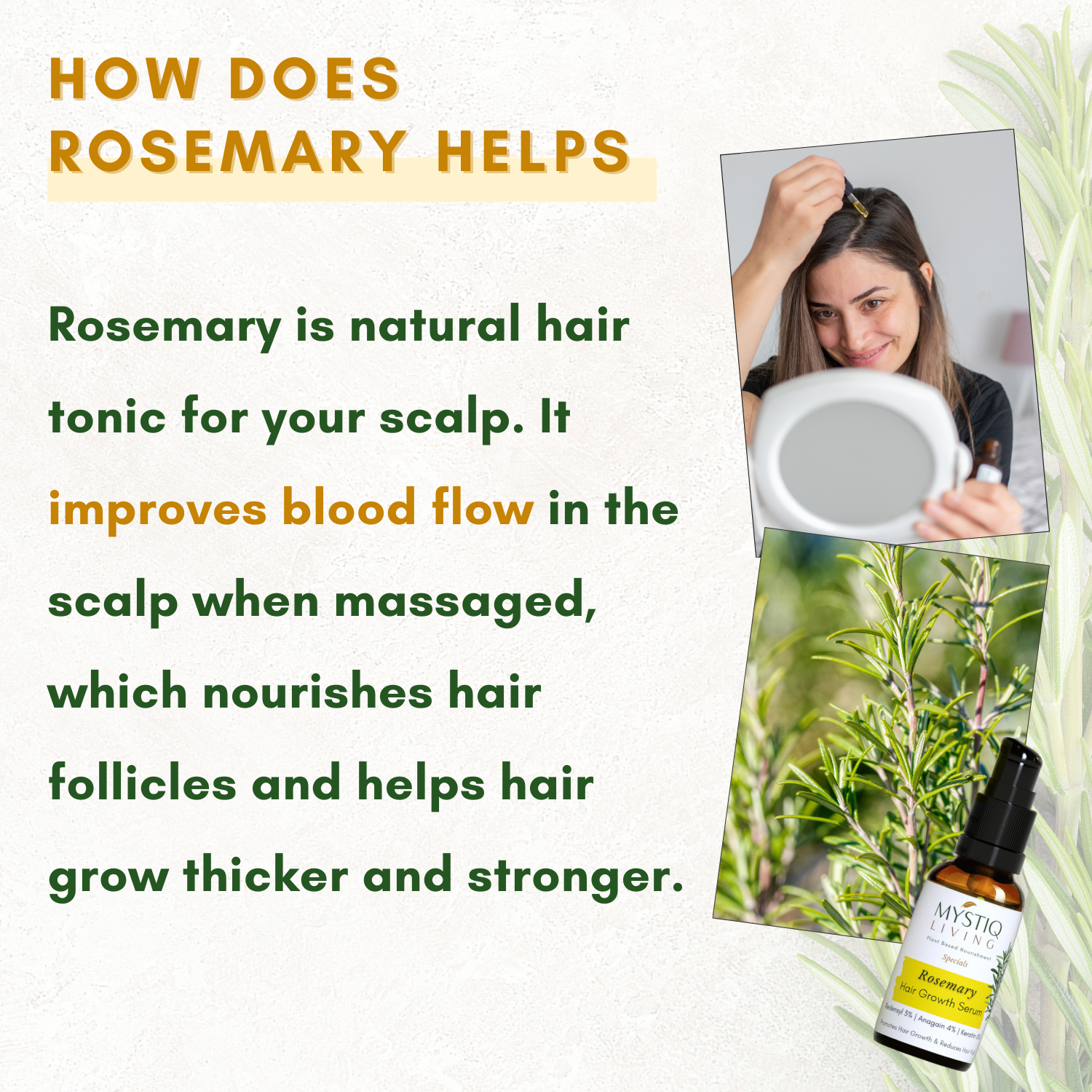 Rosemary Hair Growth Serum | Strengthens Hair Follicles, Prevents Hair Fall | Men & Women